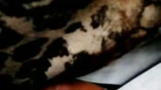 Procace Kagney Carter dita la sua succosa figa i migliori film porno in hd bagnata