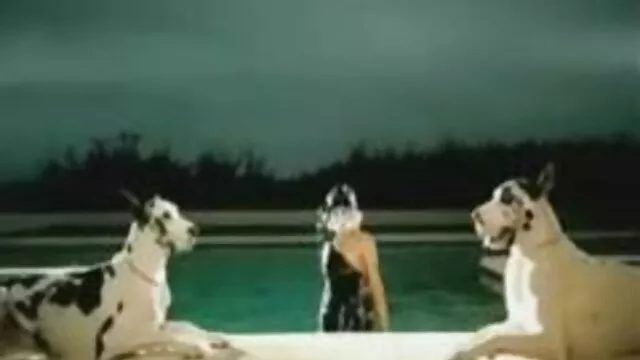 Bionda matura con filme xx hd palle giganti come Cooney e sorella